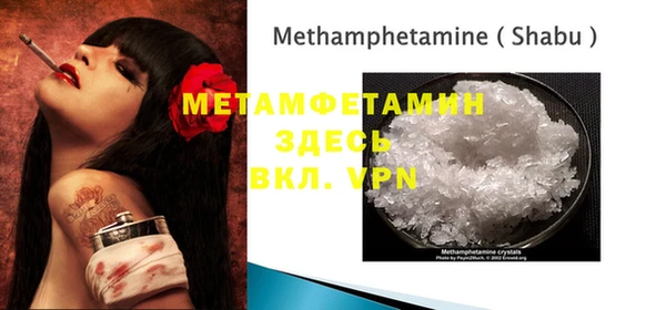 ПСИЛОЦИБИНОВЫЕ ГРИБЫ Горно-Алтайск