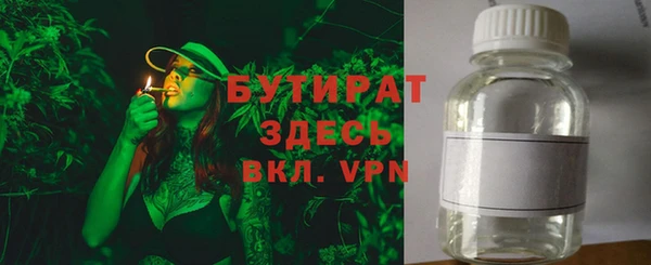 стаф Гусь-Хрустальный