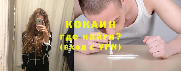 сатива Гусев