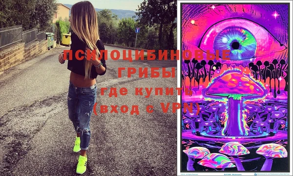 ешки Гусиноозёрск
