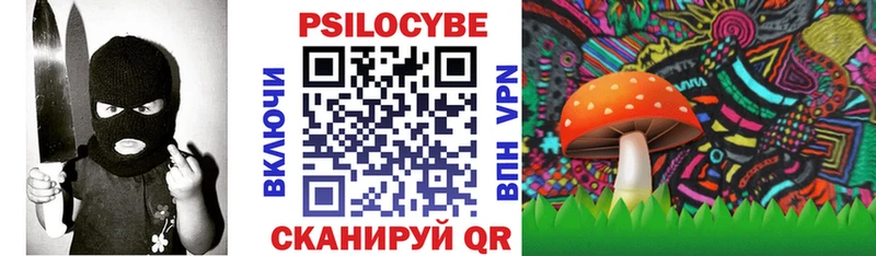 Купить где  Хадыженск  Галлюциногенные грибы Psilocybine cubensis 